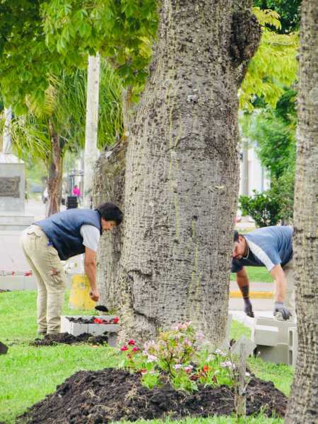 Nuevos canteros y parquización en Av. San Martín